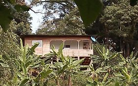 Casa De Andrea