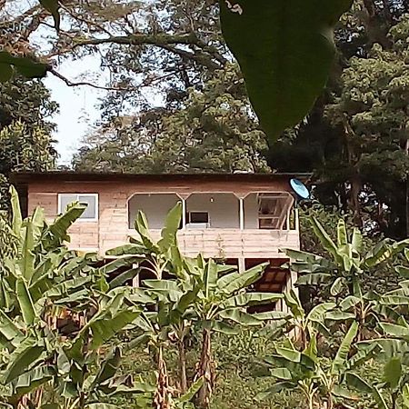 Villa Casa De Andrea Santo António Exterior foto