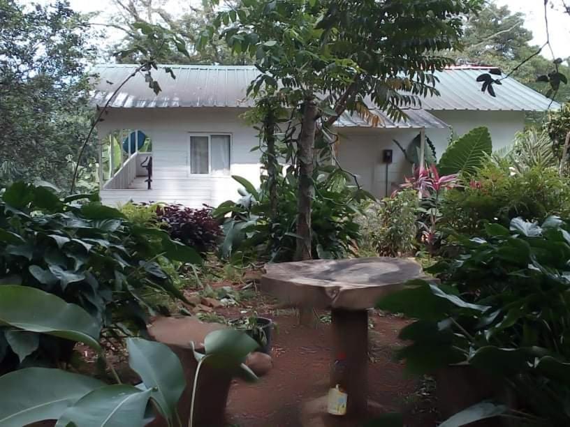 Villa Casa De Andrea Santo António Exterior foto