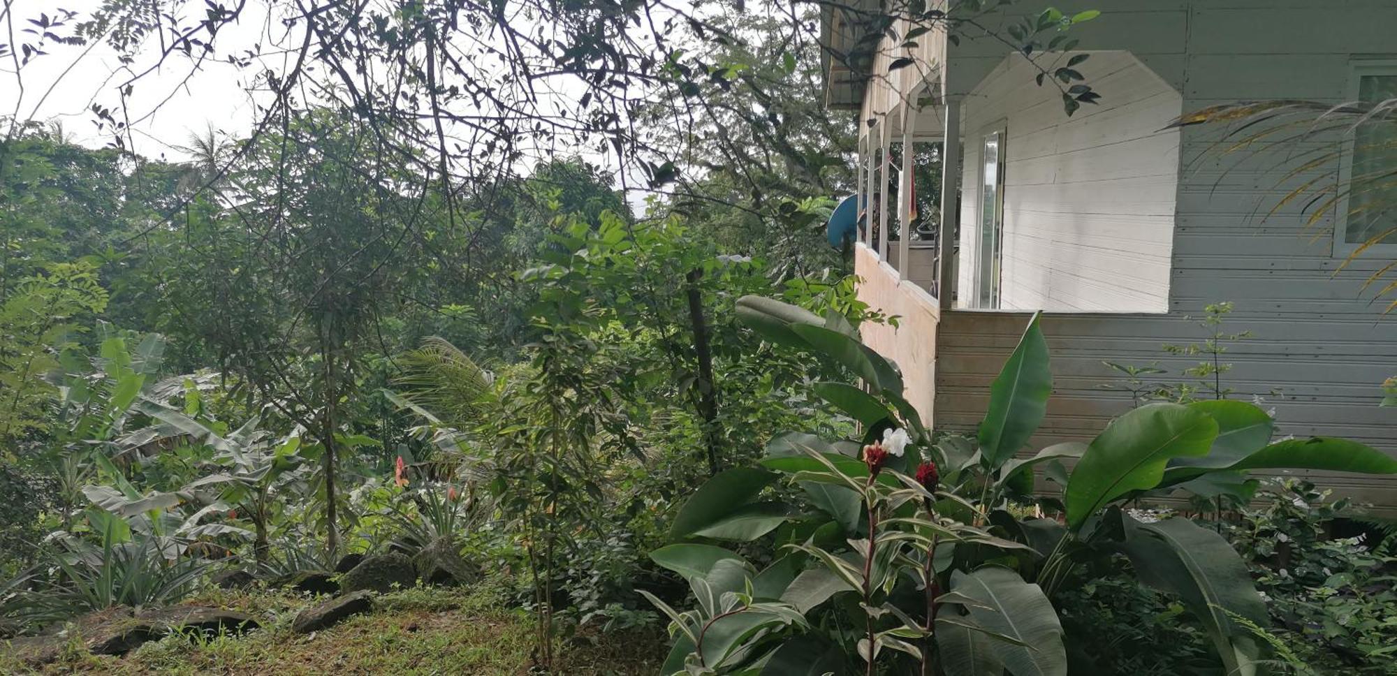 Villa Casa De Andrea Santo António Exterior foto